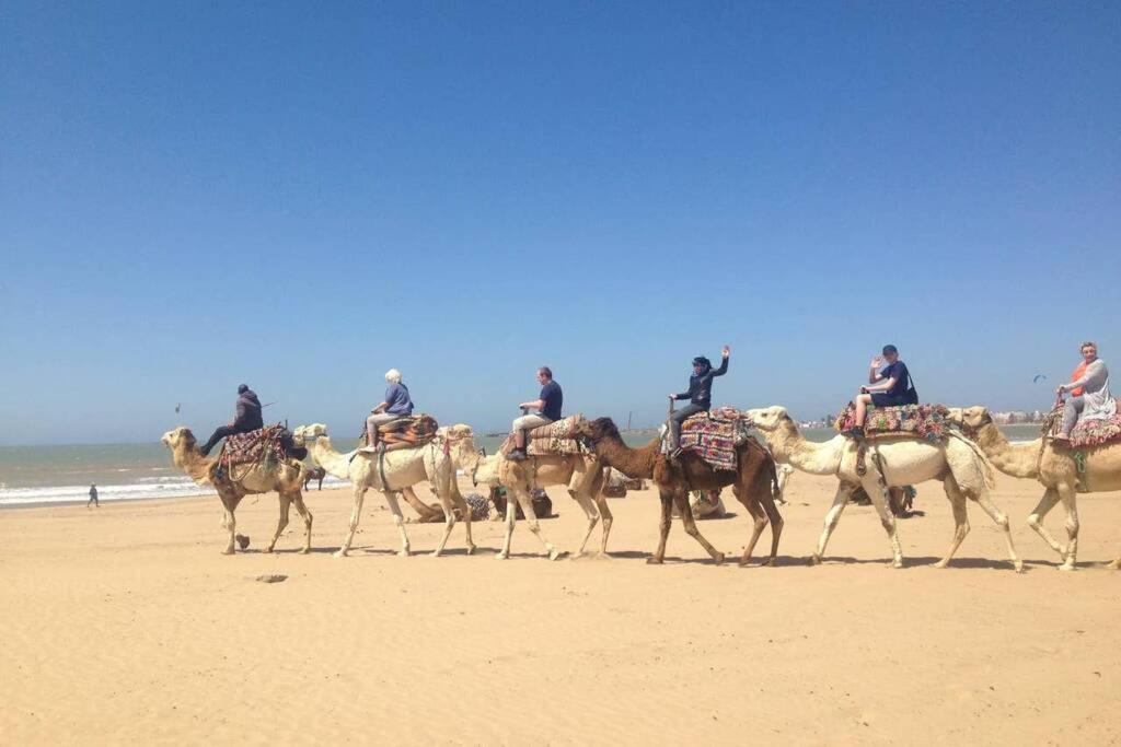 Вилла Darsal-Bwindi, Pour Tomber Amoureux D'Essaouira ! Экстерьер фото
